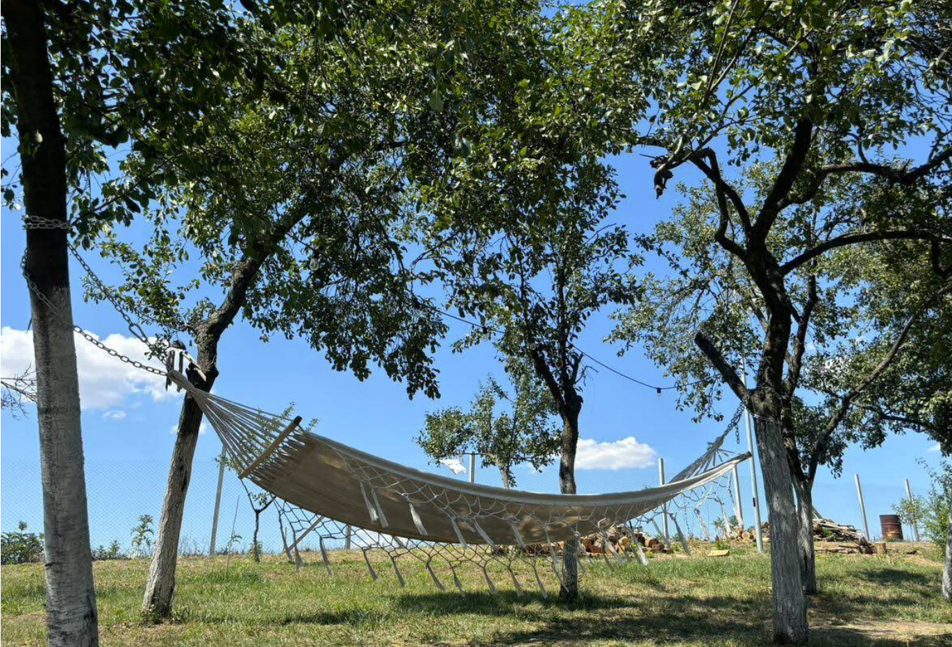 Hamac în natură